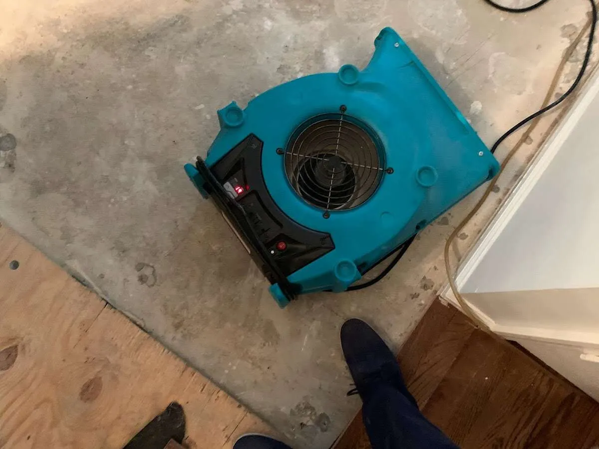 Air mover drying subfloor during Commercial Water Damage Restoration in Victor